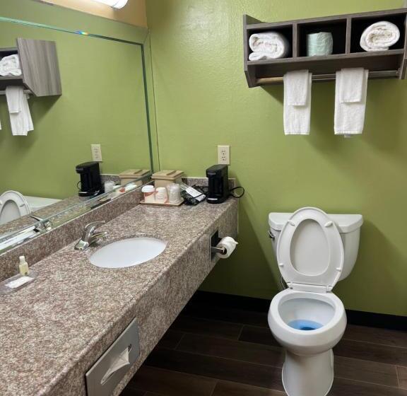 스탠다드 룸 킹사이즈 침대, Quality Inn Bay City Tx