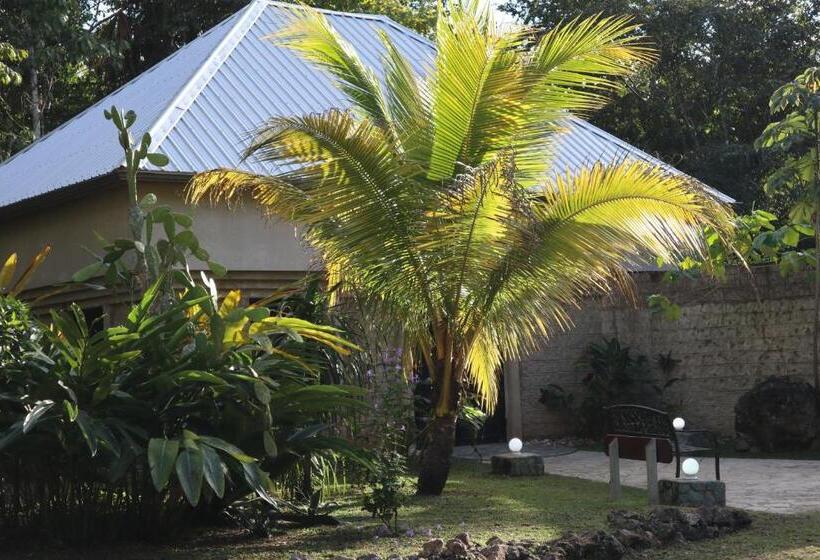 اتاق استاندارد سه نفره, Calico Jack's Resort