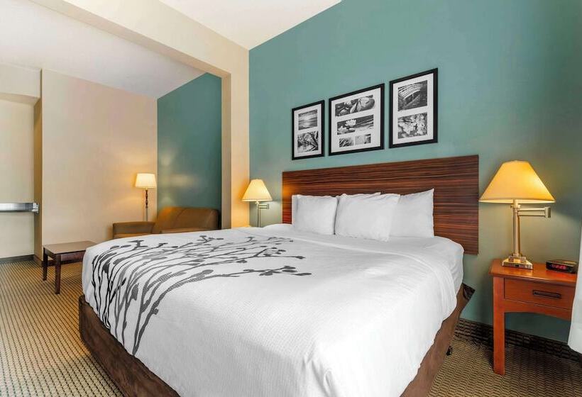 Люкс, Sleep Inn & Suites