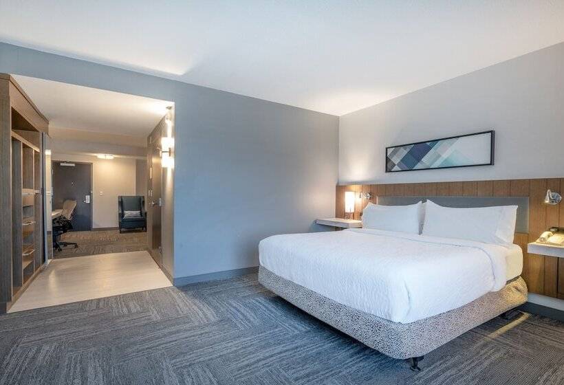 Полулюкс, Hilton Garden Inn Pittsburgh/southpointe