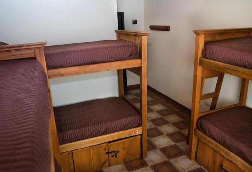 تختخواب در اتاق مشترک, Hostel Inn Calafate