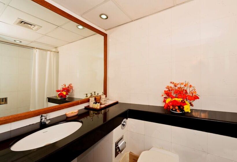 Президентский Люкс, Solang Valley Resort