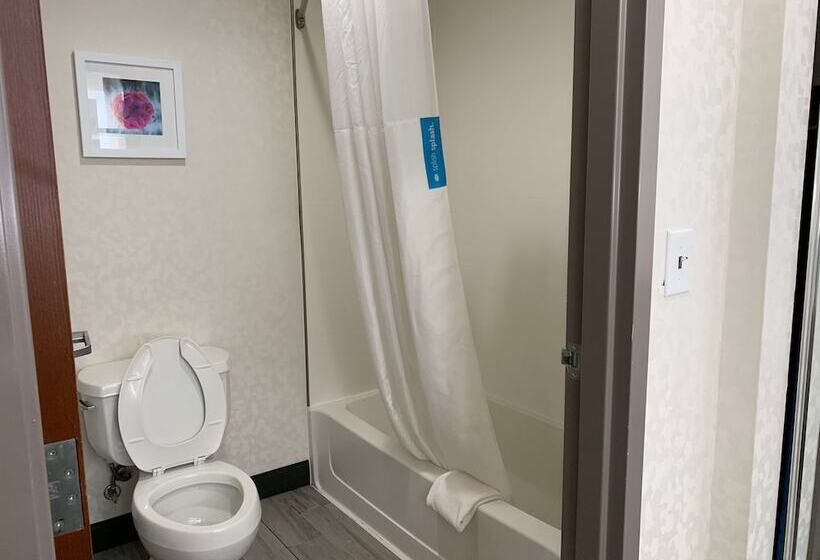 스위트, Hampton Inn Fort Stockton