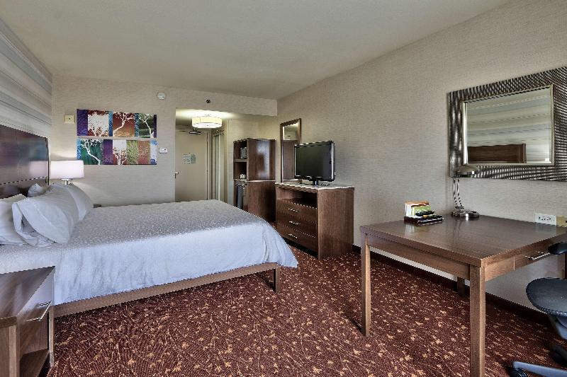 스탠다드 룸 킹사이즈 침대, Hilton Garden Inn Albuquerque Airport
