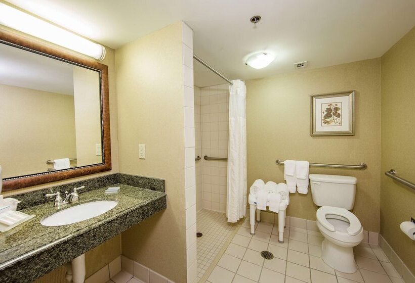 适合残疾人使用的标准间, Hilton Garden Inn Athens Downtown