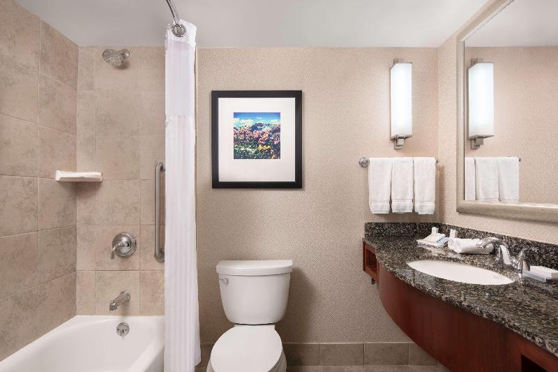 חדר פרמיום, Hilton Garden Inn Denver Downtown