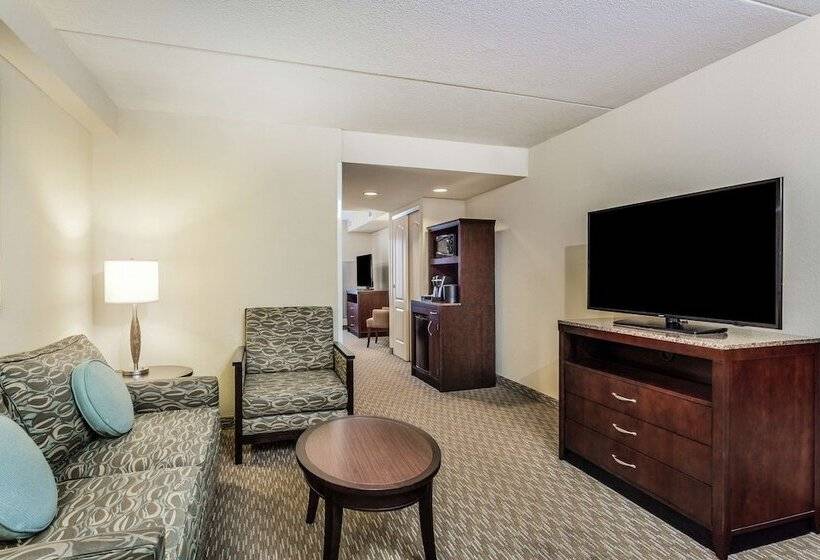 디럭스 스위트, Hilton Garden Inn Gainesville