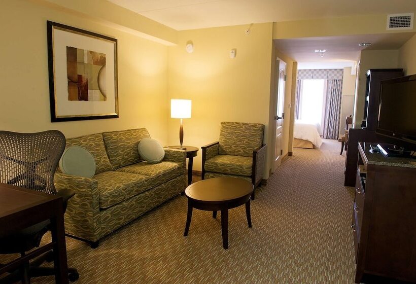 جناح ديلوكس, Hilton Garden Inn Gainesville