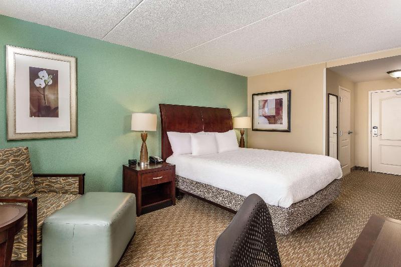 스탠다드 룸 킹사이즈 침대, Hilton Garden Inn Gainesville