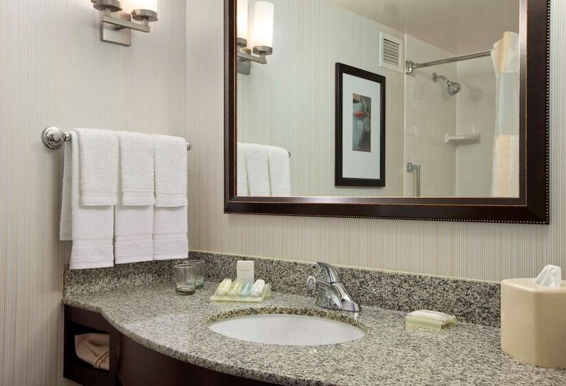 Номер Стандарт 2 Двуспальные Кровати, Hilton Garden Inn Hoffman Estates