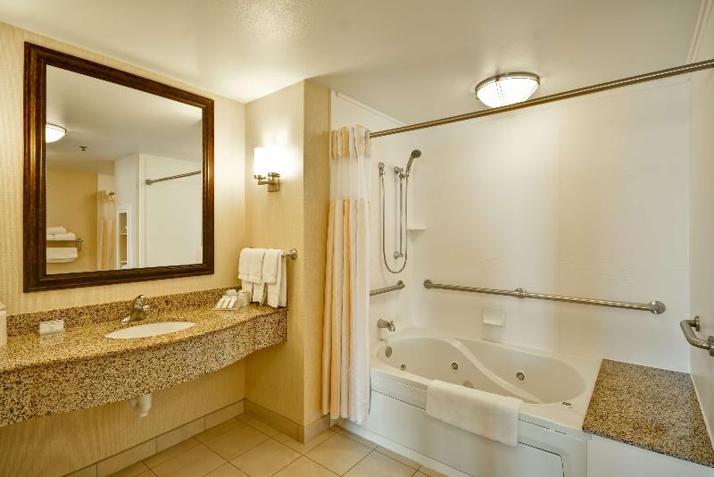 스탠다드 룸 킹사이즈 침대, Hilton Garden Inn Tampa/riverview/brandon