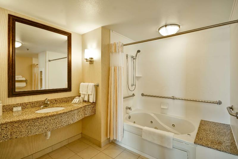 스탠다드 룸 킹사이즈 침대, Hilton Garden Inn Tampa/riverview/brandon