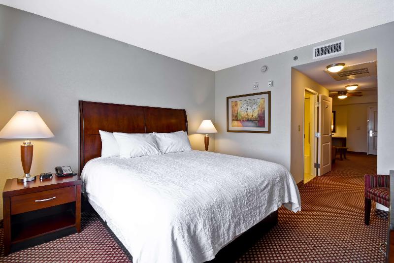 스탠다드 룸 킹사이즈 침대, Hilton Garden Inn Tampa/riverview/brandon