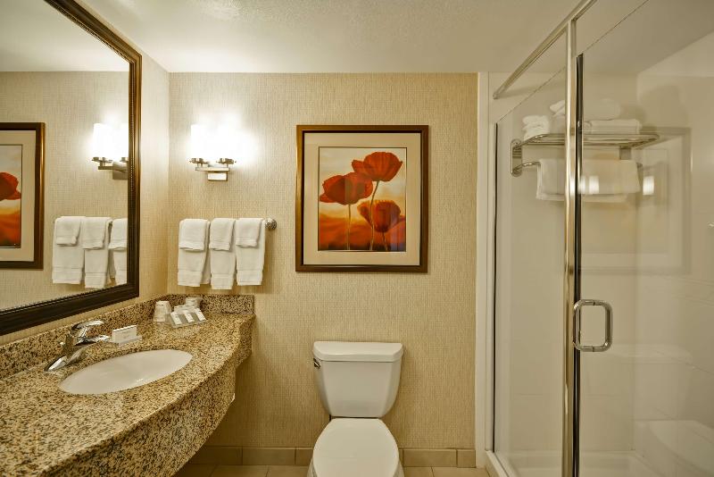 주니어 스위트 킹사이즈 침대, Hilton Garden Inn Tampa/riverview/brandon