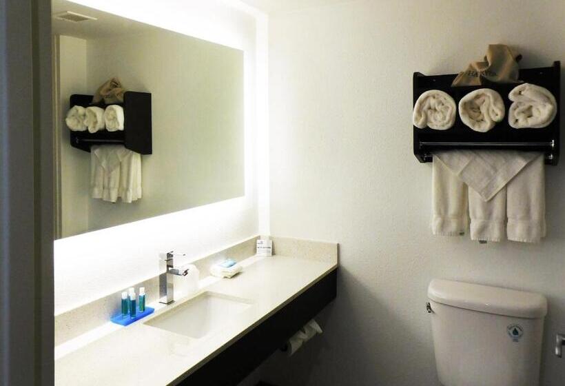 标准间, Holiday Inn Express   Coventry S   West Warwick Area, An Ihg