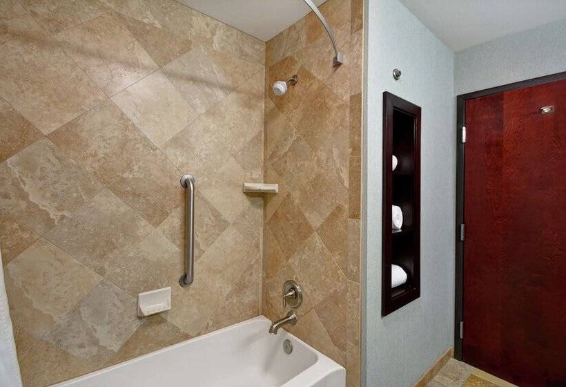 스탠다드 룸, Hampton Inn & Suites San Antonio/northeast I35
