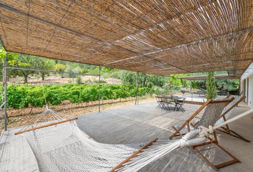 Апартаменты Пентхаус 2 Спальни, Agroturismo Filicumis By Mhr