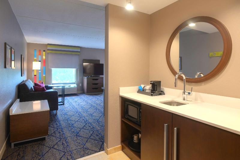 Estúdio standard Cama King, Hampton Inn & Suites Atlsix Flags