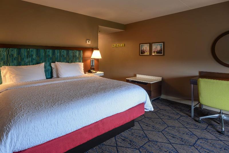 Quarto Deluxe Cama King, Hampton Inn & Suites Atlsix Flags