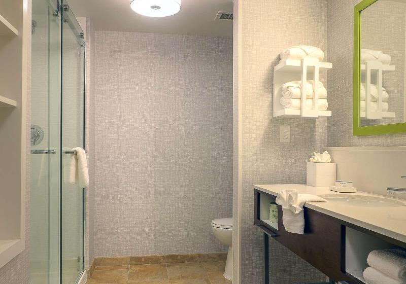 Quarto Deluxe Cama King, Hampton Inn & Suites Atlsix Flags