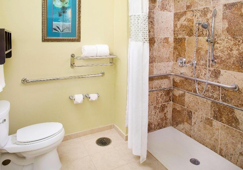 Стандартный Номер Кровать Кинг, Hampton Inn & Suites Dallas/lewisvillevista Ridge Mall, Tx