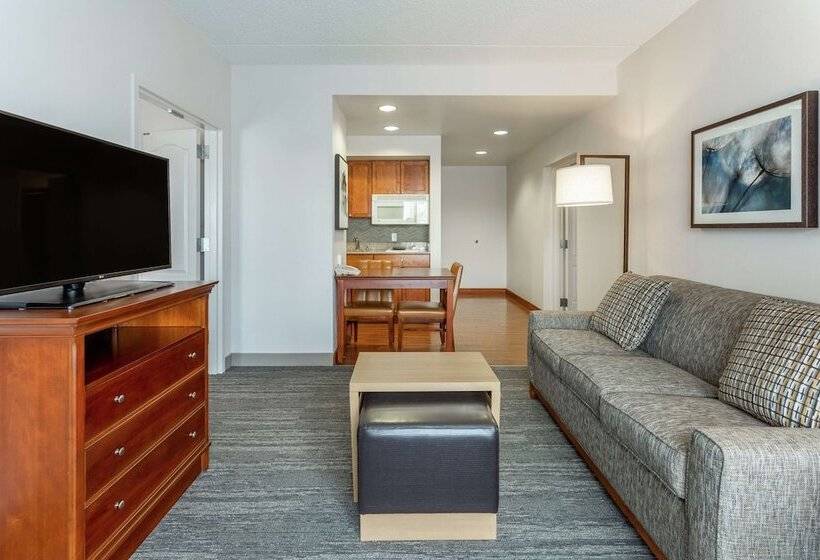 套房, Homewood Suites By Hilton Albany