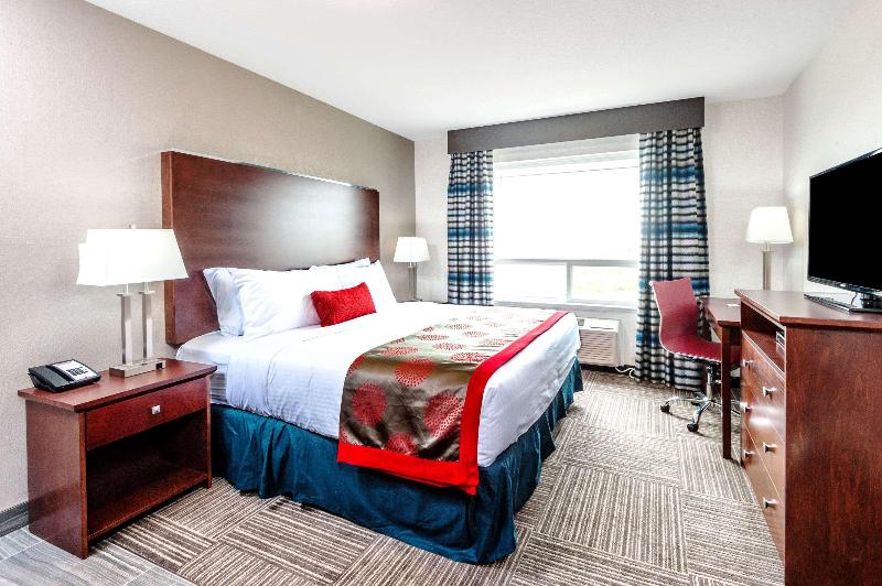 Pokój Typu Standard Przystosowany dla Osób Niepełnosprawnych, Anaheim Discovery Inn And Suites
