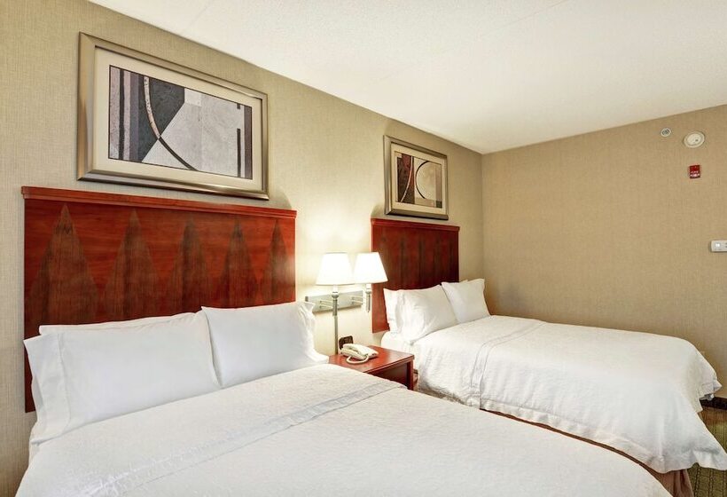 Номер Стандарт 2 Двуспальные Кровати, Hampton Inn Lewisburg