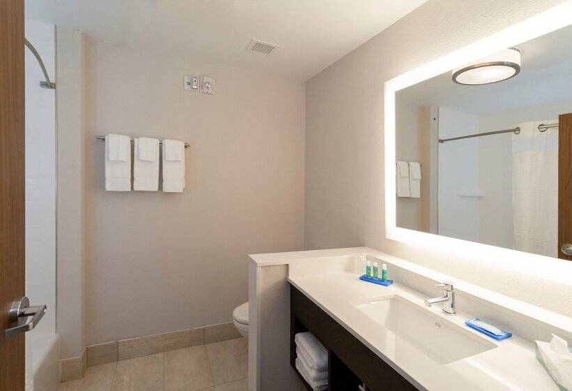 Номер Стандарт, Holiday Inn Express Hotel & Suites Dallas South   Desoto, An Ihg