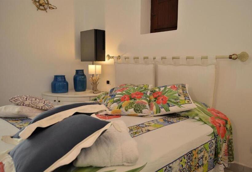 اتاق استاندارد, Oasi