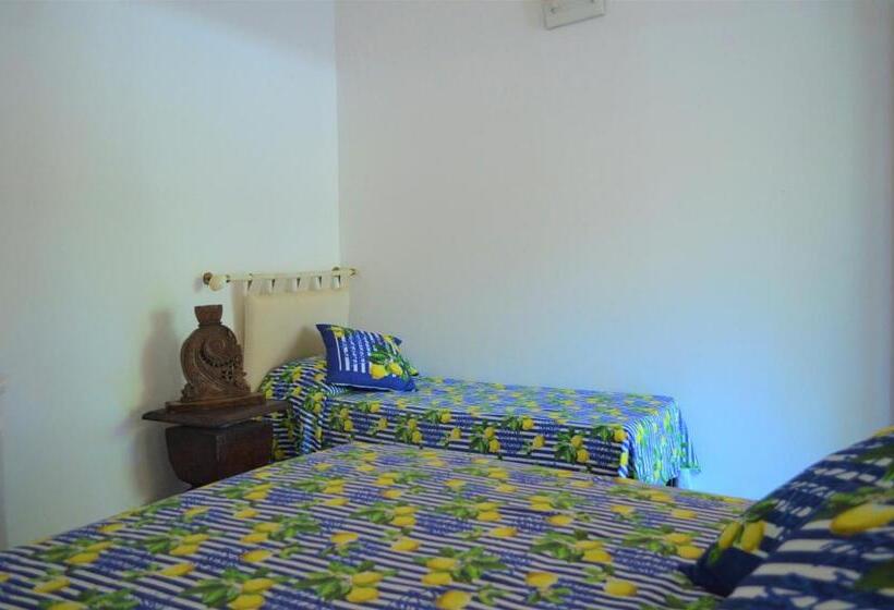 اتاق استاندارد سه نفره, Oasi