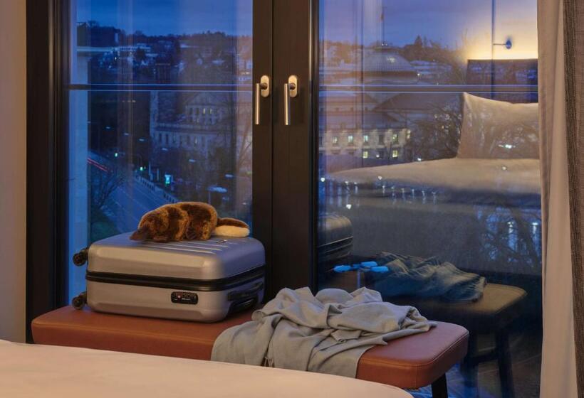 آپارتمان پریمیوم 1 خوابه, Adina Apartment Hotel Wiesbaden