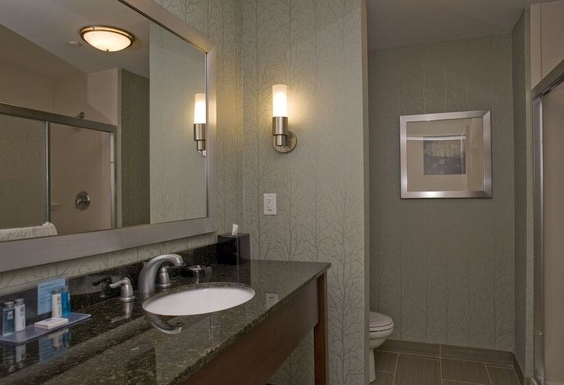 Номер Стандарт, Hampton Inn Anderson/ Alliance Business Park
