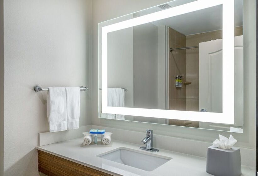Номер Стандарт, Holiday Inn Express & Suites Dallas East   Fair Park, An Ihg