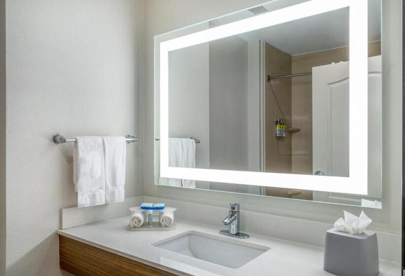 Люкс Кровать Кинг, Holiday Inn Express & Suites Dallas East   Fair Park, An Ihg