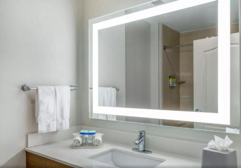 Номер Стандарт Кровать Кинг Адаптированный для Инвалидов, Holiday Inn Express & Suites Dallas East   Fair Park, An Ihg