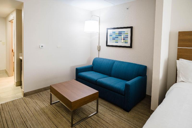 Suite Łóżko King Size, Holiday Inn Express & Suites Knoxville Farragut, An Ihg