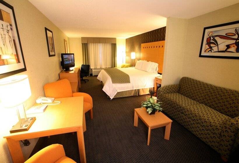 スイート, Holiday Inn Express & Suites Monterrey Aeropuerto, An Ihg