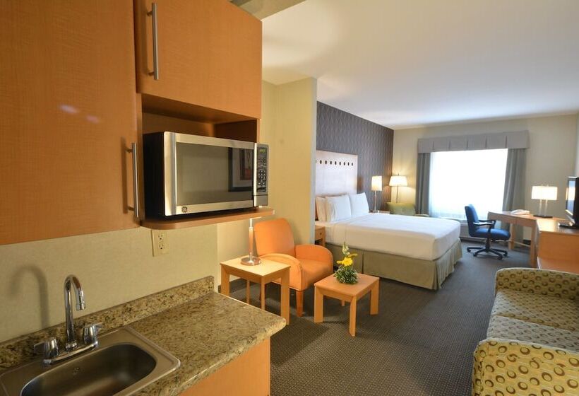 スイート, Holiday Inn Express & Suites Monterrey Aeropuerto, An Ihg