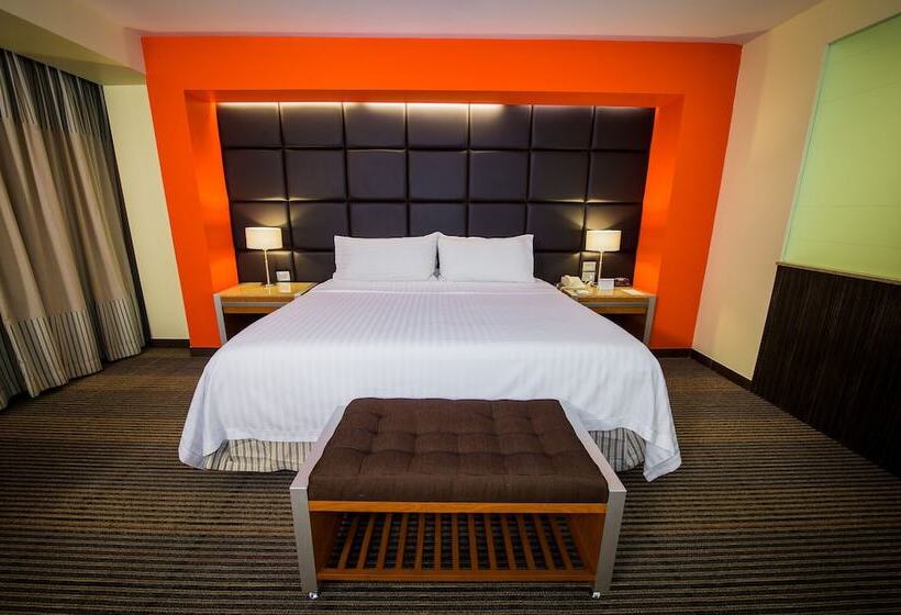 スタンダードルーム, Holiday Inn Mexico City Plaza Universidad, An Ihg