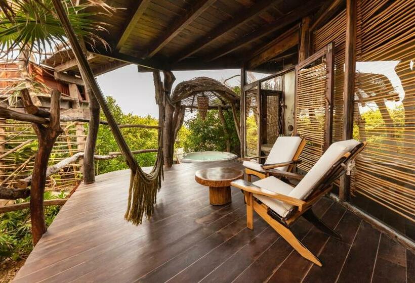 Quarto Estandar, Azulik