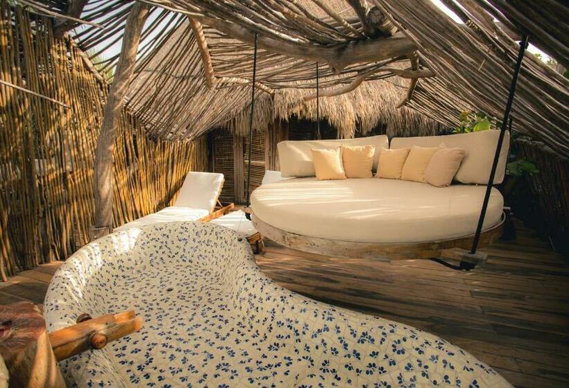 Quarto Estandar, Azulik