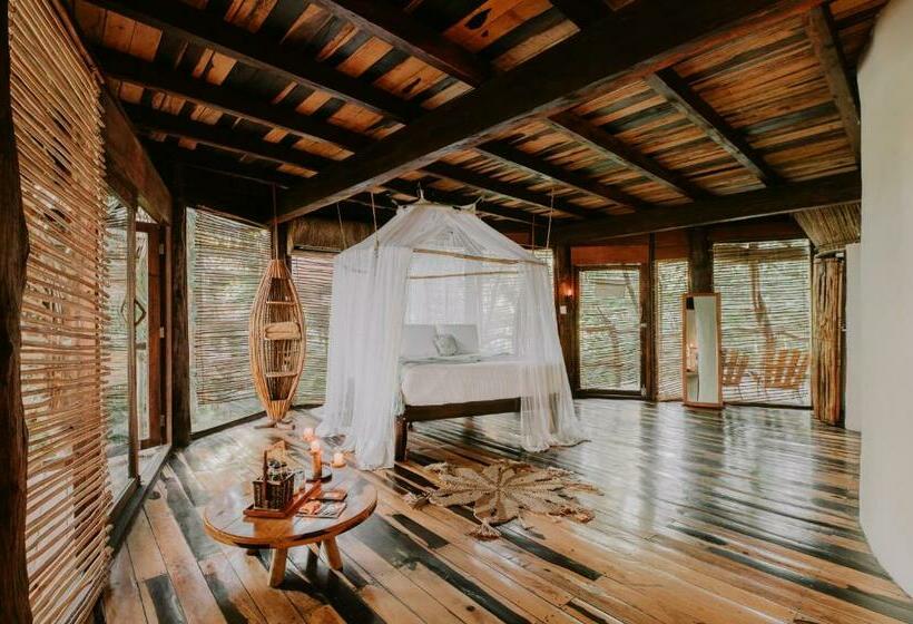 Quarto Estandar, Azulik