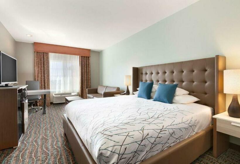 带大床的标准间, Best Western Plus Peppertree Inn At Omak