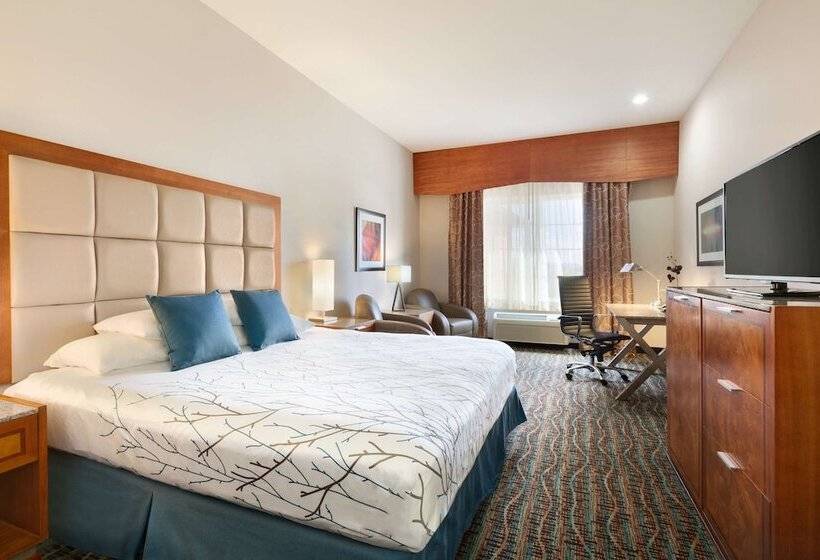 标准间, Best Western Plus Peppertree Inn At Omak