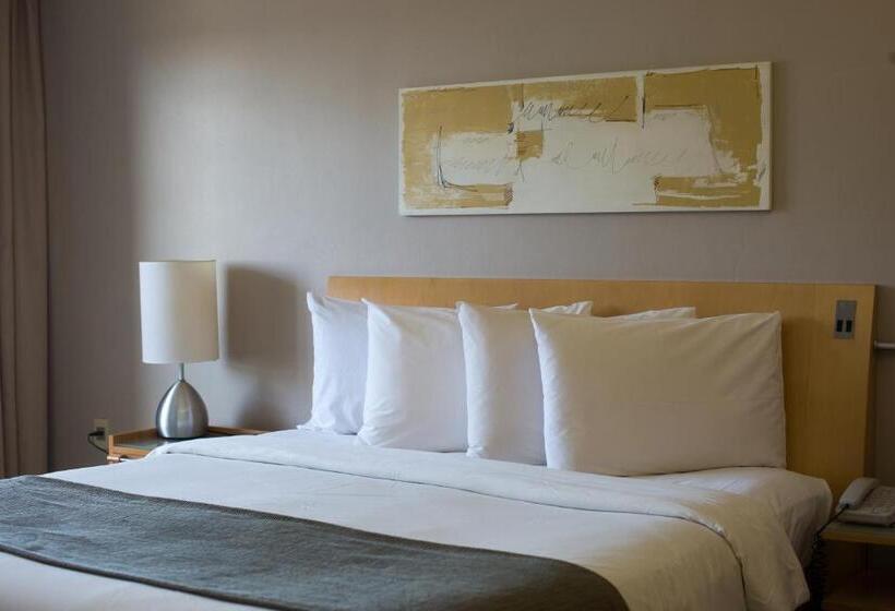 Quarto Deluxe Individual, Grand Bittar