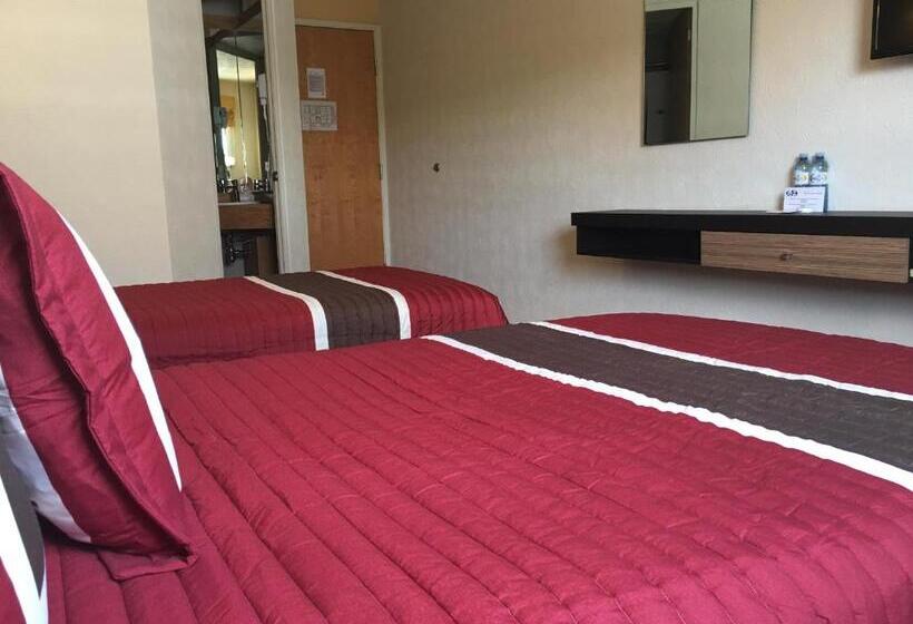 Habitació Estàndard, Ibeurohotel Guadalajara Expo