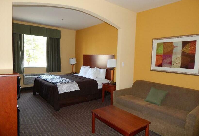 스탠다드 룸 킹사이즈 침대, Sleep Inn & Suites At Kennesaw State University
