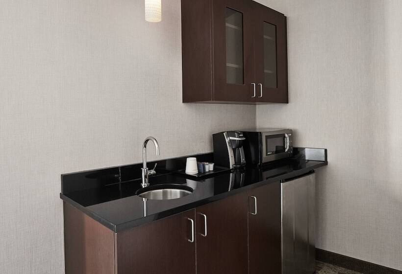 2 Bedroom Suite Mountain View, Springhill Suites By Marriott Roanoke