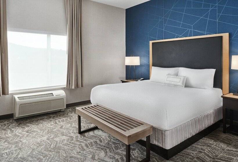 スイート, Springhill Suites By Marriott Roanoke